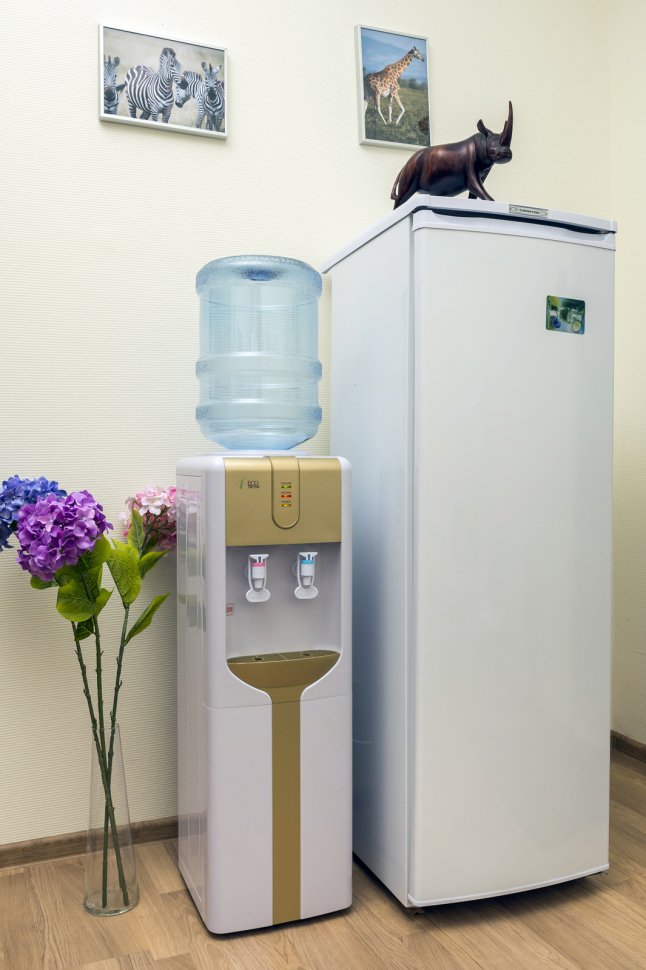 Кулер для воды Ecotronic H3-L Gold компрессорный