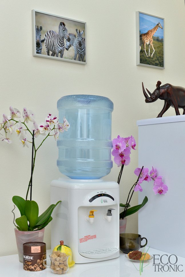 Кулер для воды Ecotronic M2-TE настольный электронный